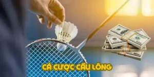 Cách Chơi Cá Cược Cầu Lông Tại 789WIN: Hướng Dẫn Chi Tiết