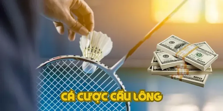 Cách Chơi Cá Cược Cầu Lông Tại 789WIN: Hướng Dẫn Chi Tiết