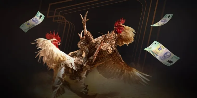 Đá Gà 789WIN: Sân Chơi Đỉnh Cao Cho Dân Đam Mê 1 Đá Gà 789WIN: Sân Chơi Đỉnh Cao Cho Dân Đam Mê